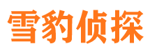 泸定市私家侦探